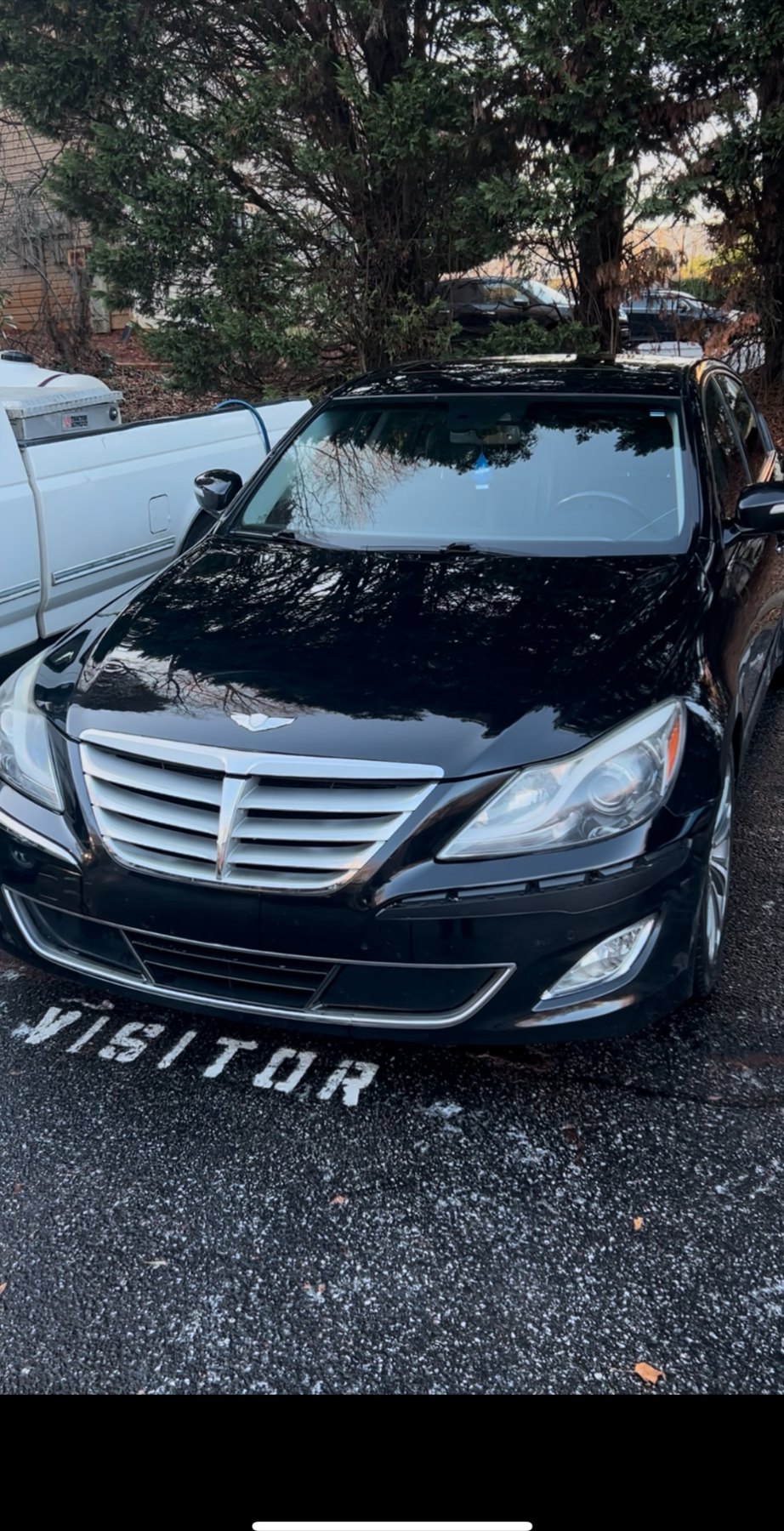 Black Genesis ready after detailing